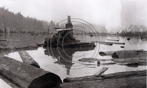 LOG POND