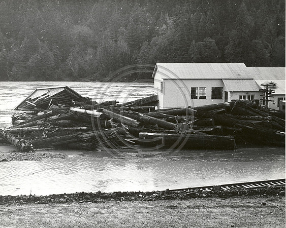 Scotia Slaughter House '64