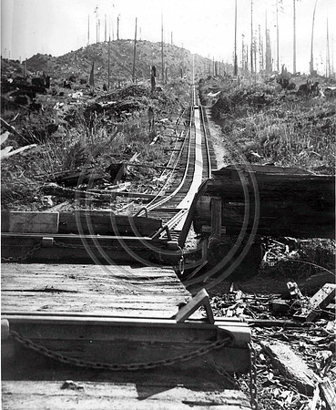 Looking up the inclineat the Pacific Lumber Company Freshwater operations 1940