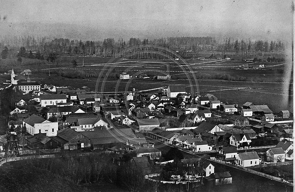 Ferndale