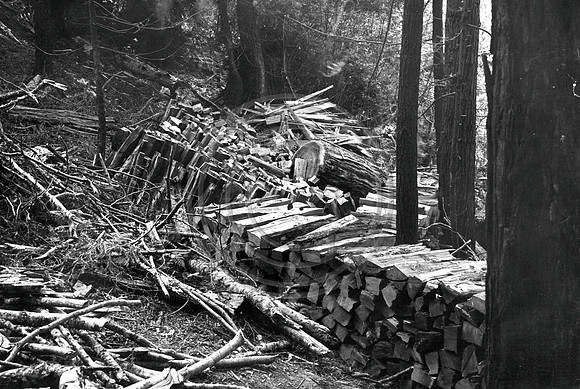 August 26 1923 cordwood made from refuse left by tie makers Eddyville Freshwater Operations