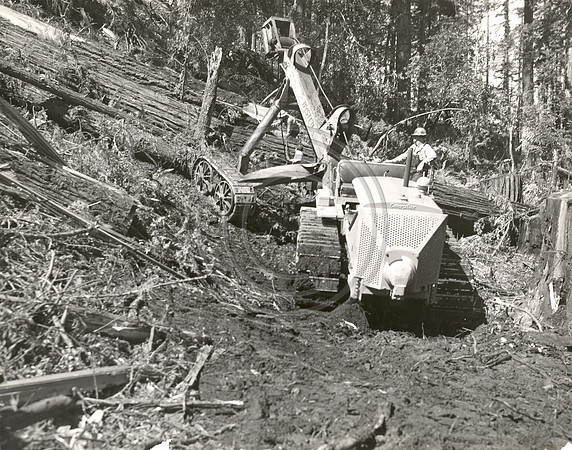 Skidding Logs 1934