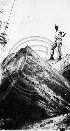 Standing on the log deck
