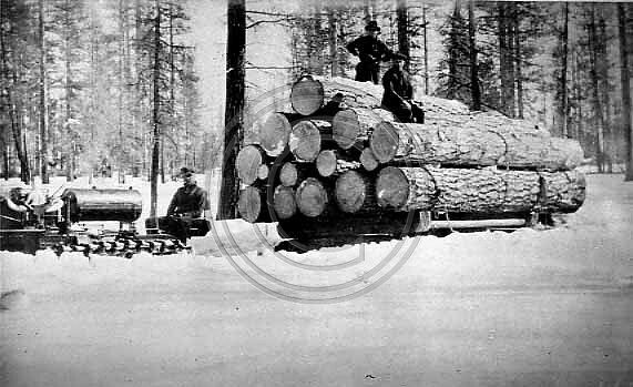 Logging in the Sierra's circa 1930's