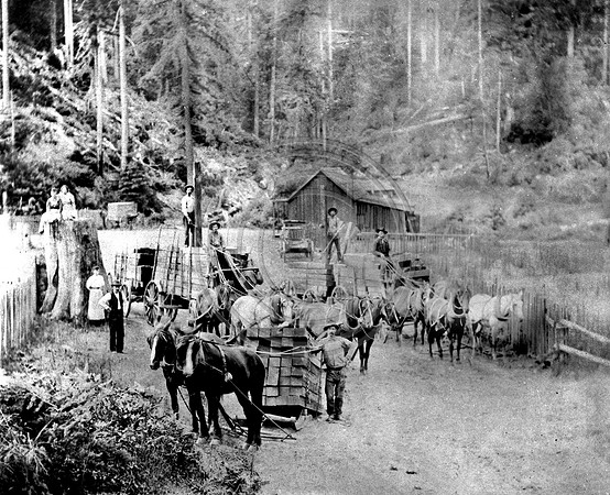 Hauling RR ties