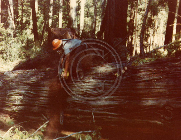 z1970s6