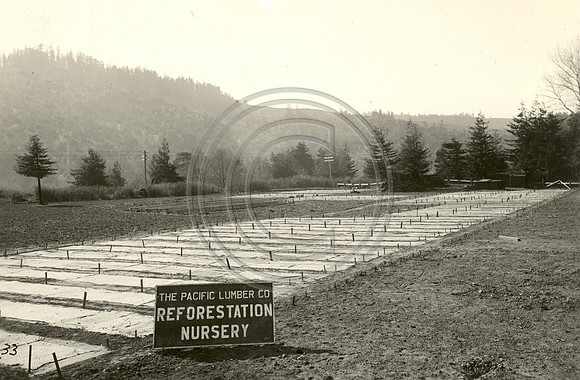 Nursery 1924
