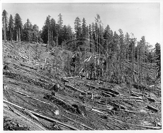 PerrotInclineCordWoodCopyHistPhoto