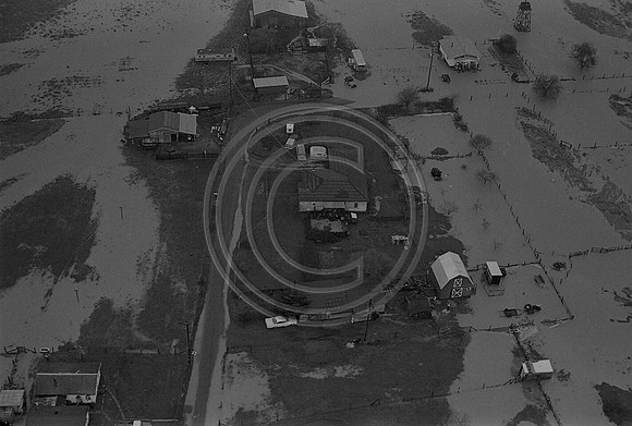 1964 Flood Ferndale Bottoms #3