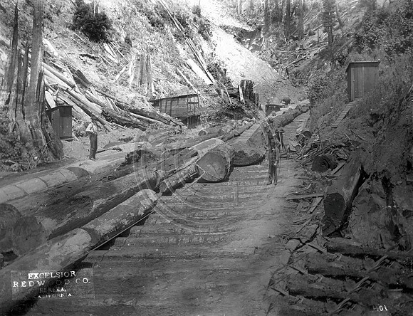 Historic Logging in the Freshwater Creek watershed Early logging was done using the stream channels for transportation purposes