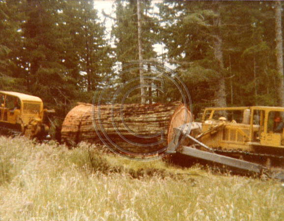 z-1970s3