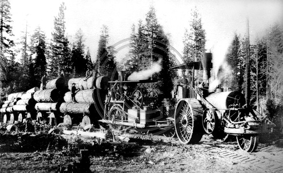 Hauling Pine Trees into Shingletown Ca.