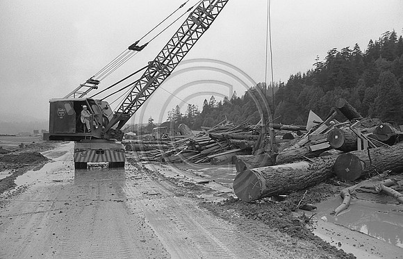 Crane moving Fir logs from Eel River Sawmills