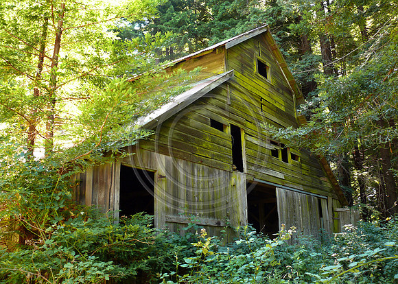 Old Barn at Daly Ranch