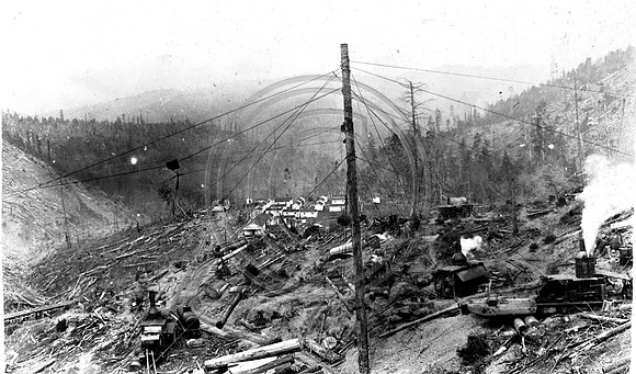 Logging camp #20 Korbel, California circa 1928