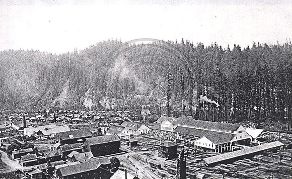 Scotia 1910s (prior to 12 oldtown