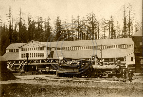 Pacific Lumber Company early 1900s