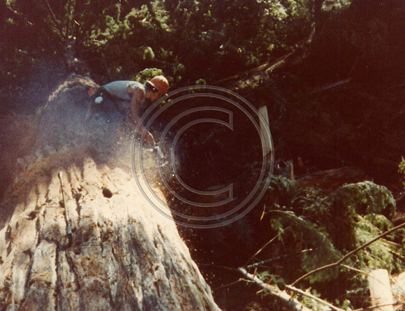 z1970s5