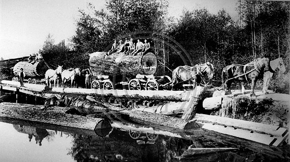 Horse Team alongside log pond