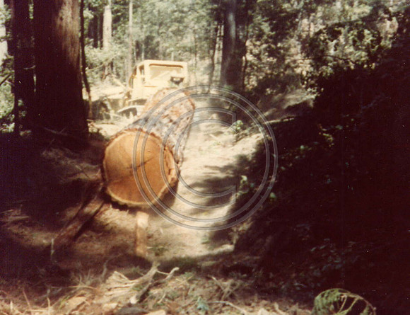 z1970s9