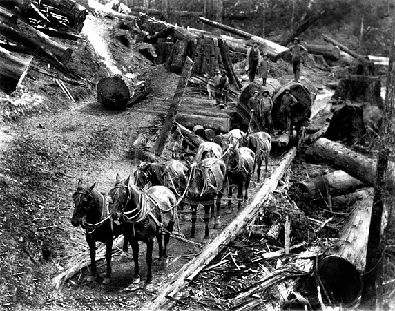 8 Horse Team at Newburg, California