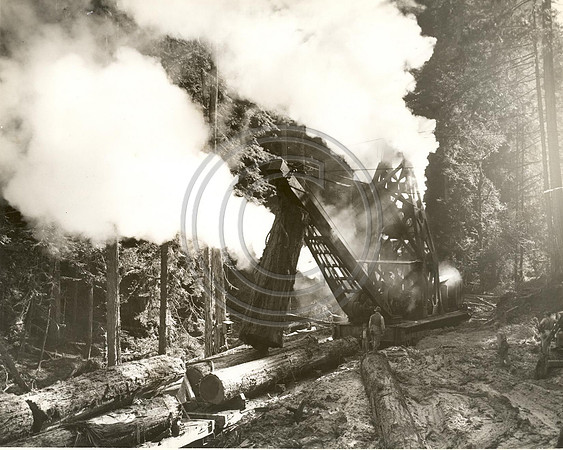 Steam Log Loader