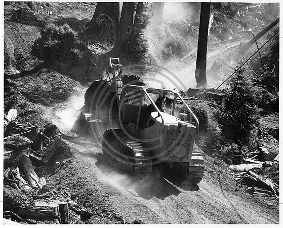 Monument1930sCatLoggingHistPhoto