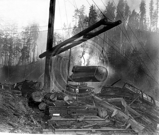 1925 Boom loading redwood logs on rail car