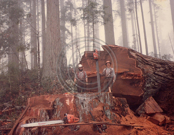 z1970sJoe-Todd12
