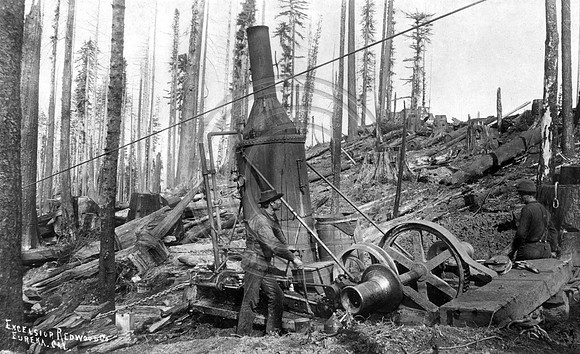 Steam Donkey in use Excelsior Redwood Company