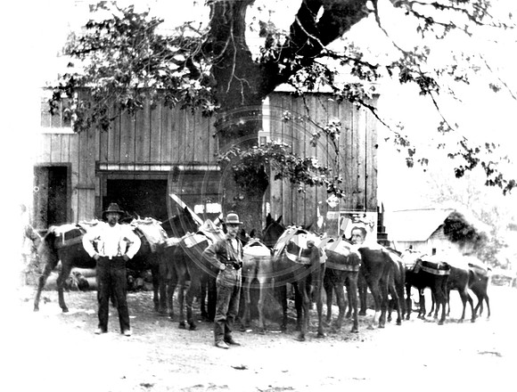 Hydesville Pack Trains