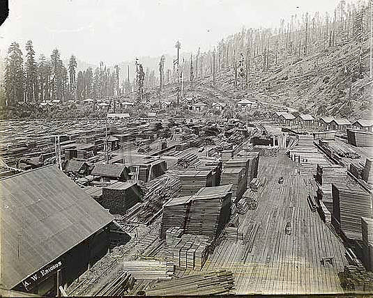 Early Lumber Yard in Scotia