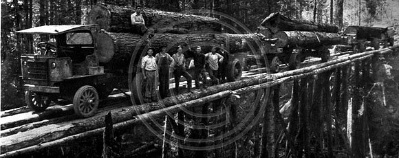 Logging truck full of logs