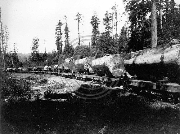 Train FW 58