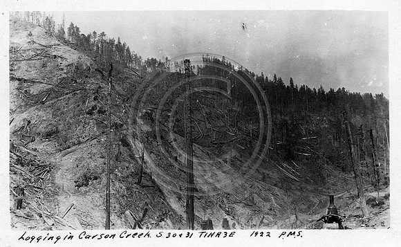 CarsonCrk1922HistPhotoLogging