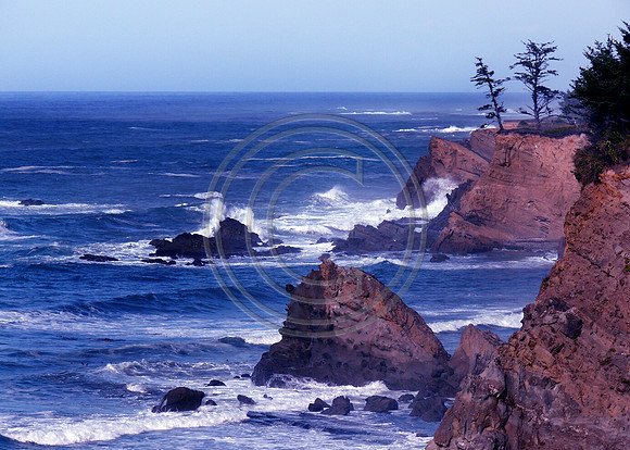 Pacific Paradise