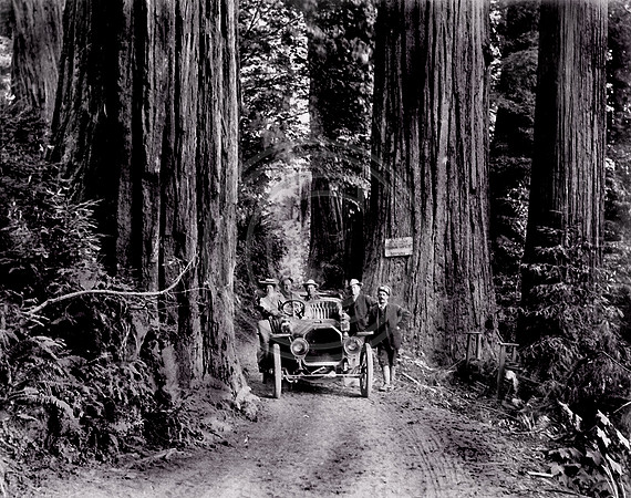Travelers