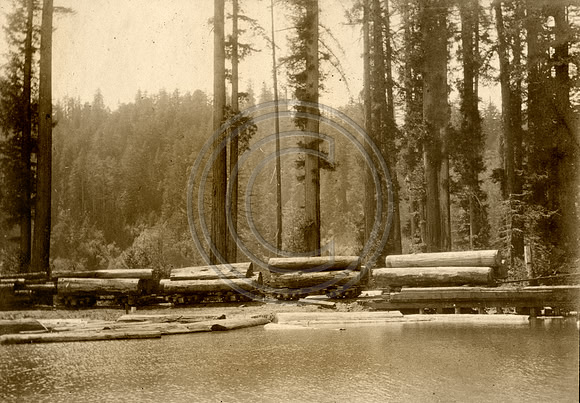Pacific Lumber Log Pond