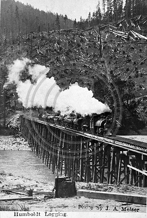 Palco Steam Locomotive