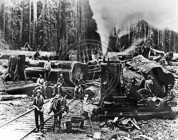 Steam Donkey at a landing