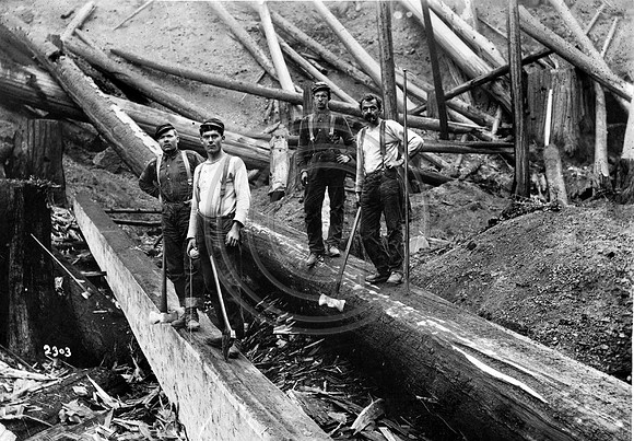 Logging Scene #4