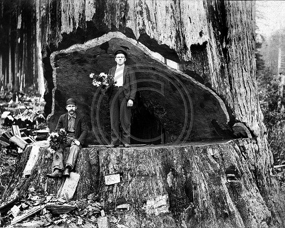Early pioneers posing with Rhododendrons bouquets