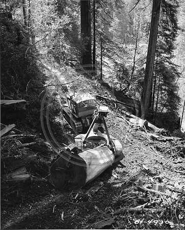 Monument1930sCatLogging2HistPhoto
