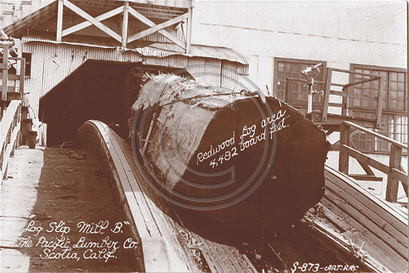 Scotia Mill B