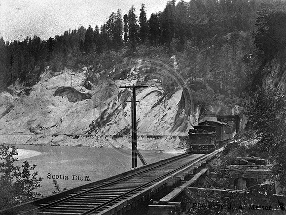 Palco Locomotive 3 at Scotia Blufffs