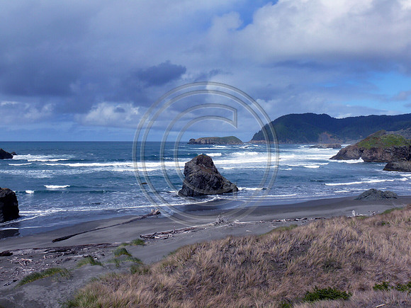 Oregon Beaches