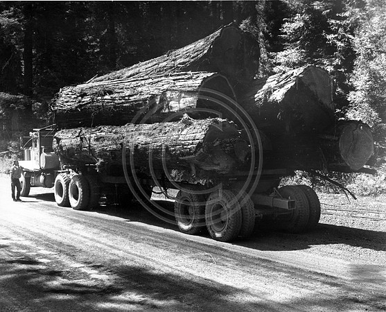 Logging Truck