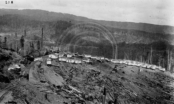 Logging Camp 8 Korbel, California