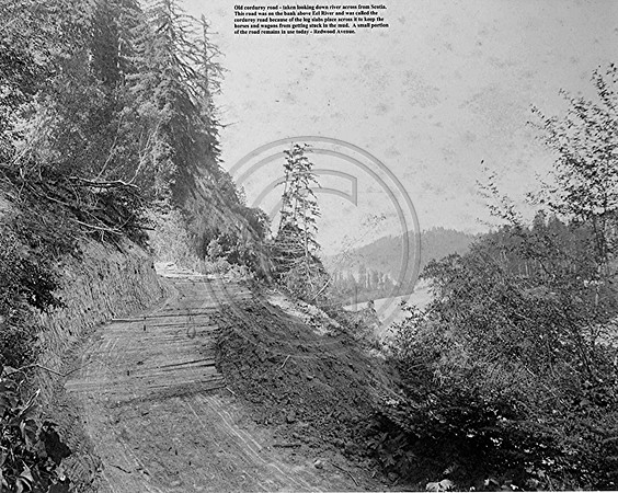Rio Dell #0000017 Old Coudroy Road looking downriver across from Scotia