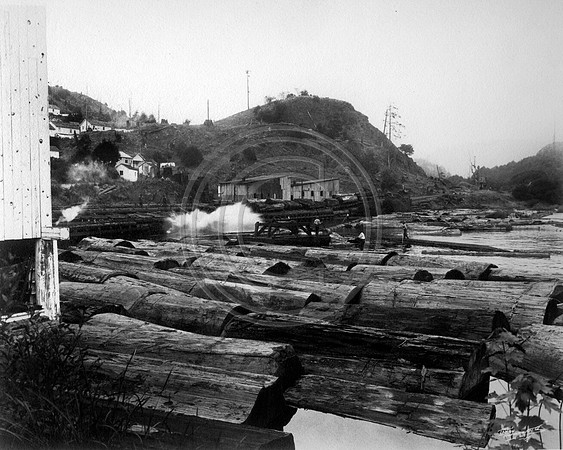 Crannell log pond